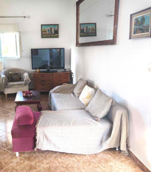 Elena'S Farm House Near Airport And Artemida Beach 外观 照片