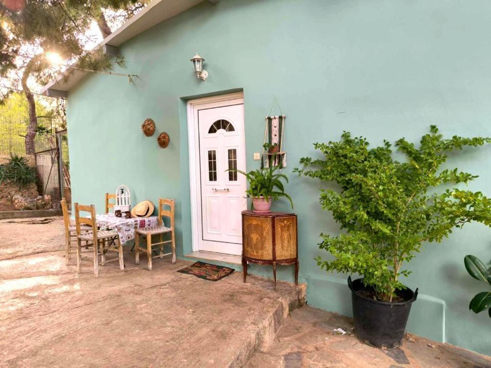 Elena'S Farm House Near Airport And Artemida Beach 外观 照片
