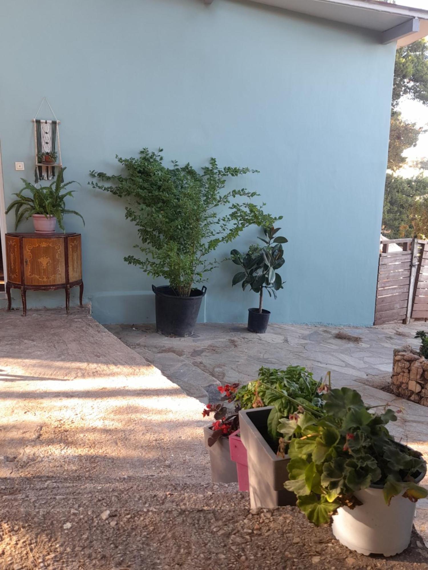 Elena'S Farm House Near Airport And Artemida Beach 外观 照片