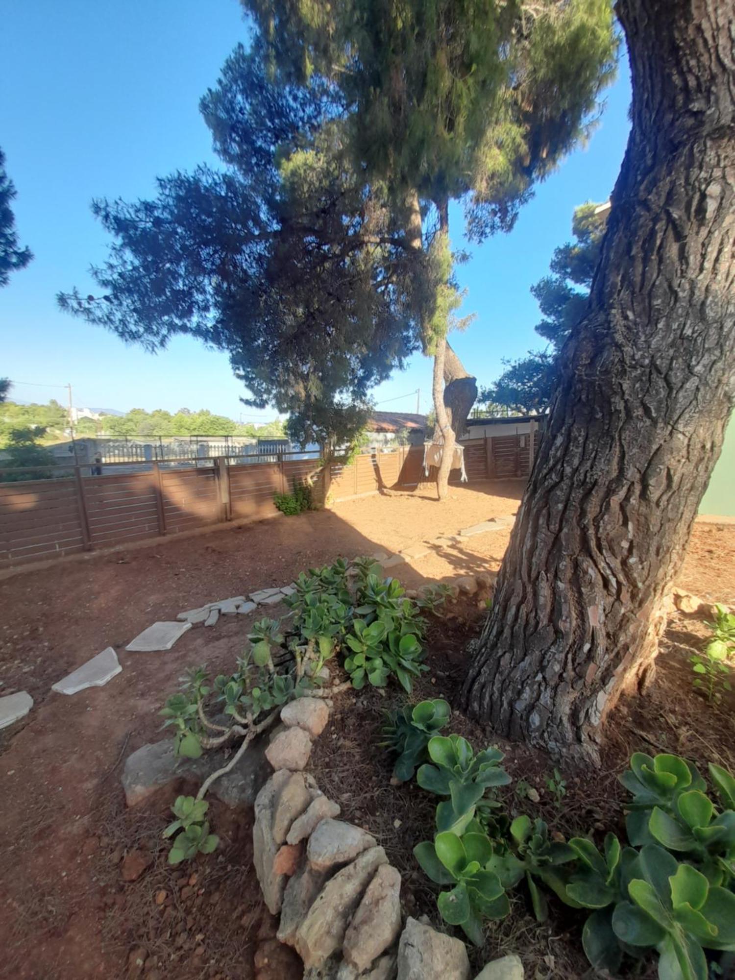 Elena'S Farm House Near Airport And Artemida Beach 外观 照片